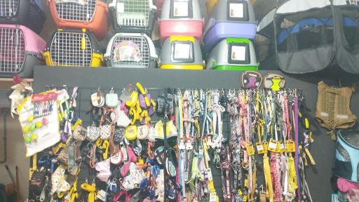 عکس پت شاپ گربه سگ