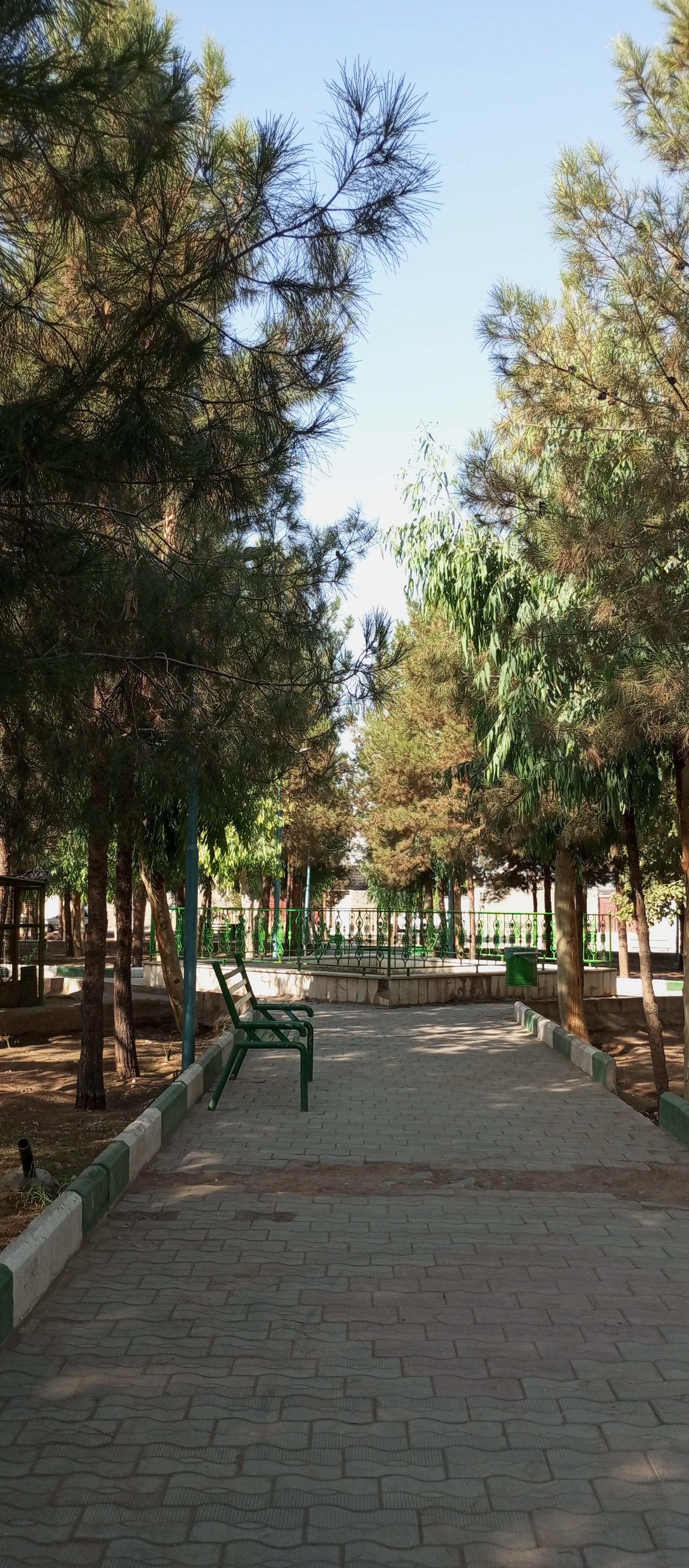 عکس پارک شاهد