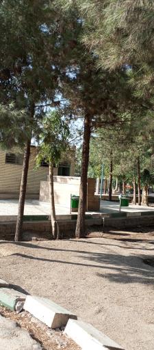 عکس پارک شاهد