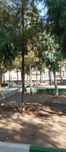 عکس پارک شاهد