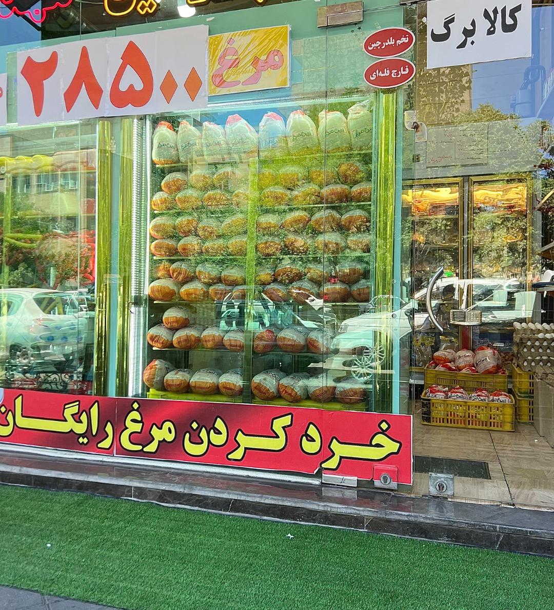 عکس پروتیئن مهدی