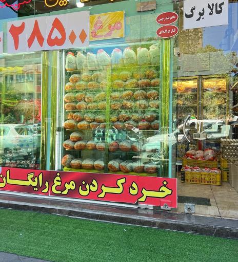 عکس پروتیئن مهدی