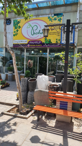 عکس گلفروشی آنلاین پیچک