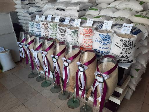 عکس پخش برنج رضویان