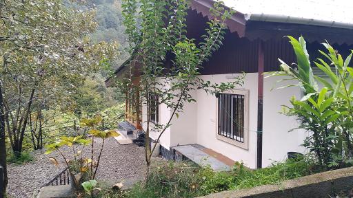 عکس اقامتگاه کلبه دو خواب جنگلی باغ صفارود