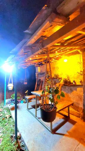 عکس کلبه جنگلی مجنون