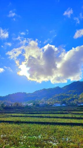 عکس کلبه جنگلی مجنون