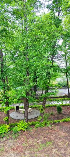 عکس مجتمع آموزشی رفاهی شهید رسولی