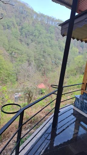 عکس اقامتگاه کلبه دو خواب جنگلی باغ صفارود