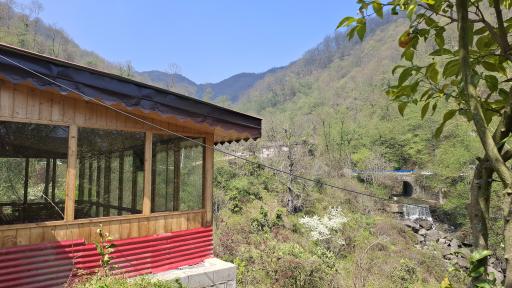 عکس اقامتگاه کلبه دو خواب جنگلی باغ صفارود