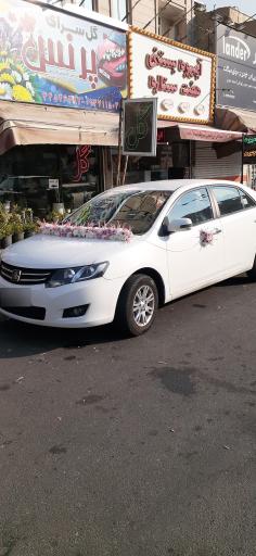 عکس گل پرنس