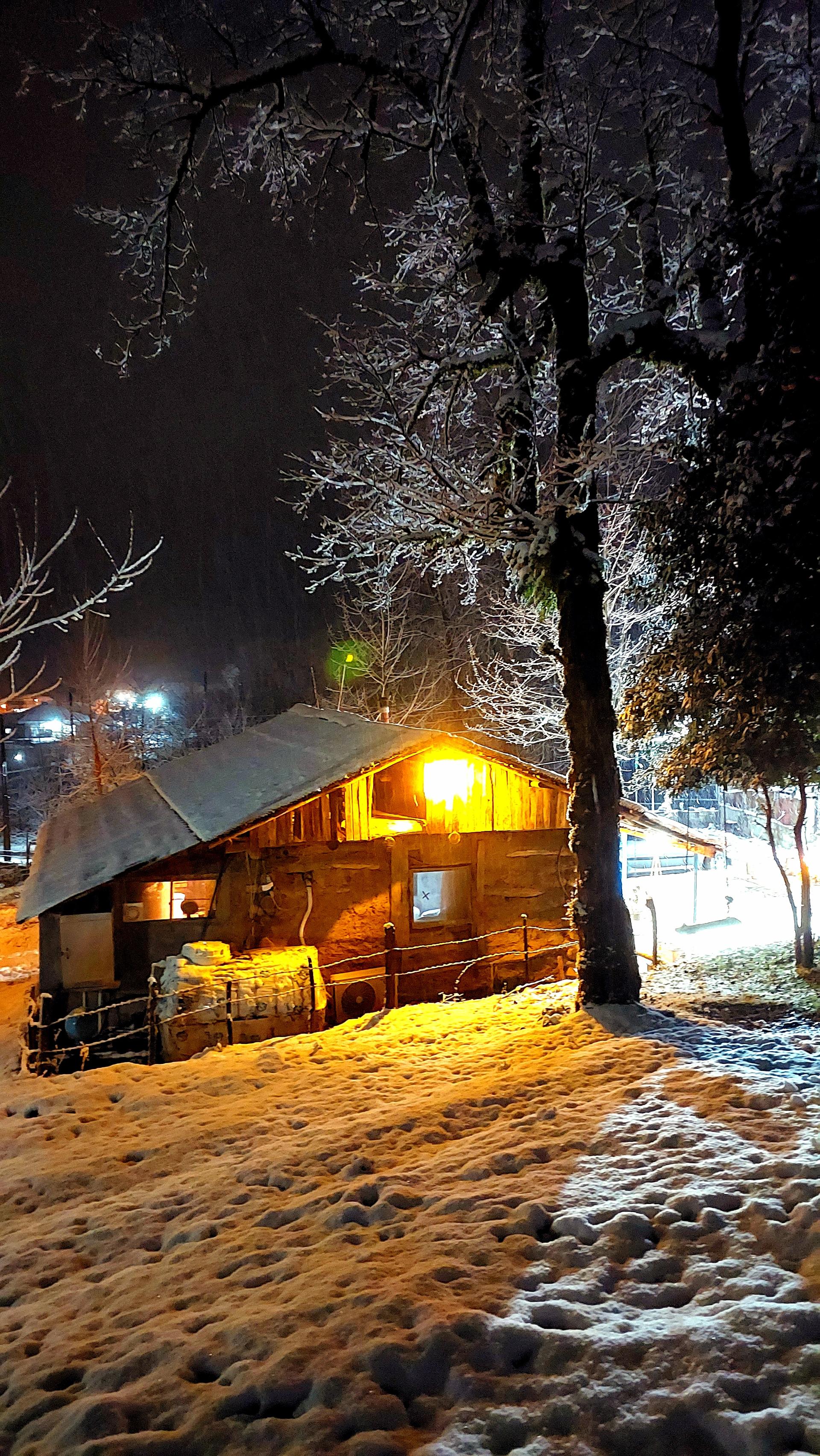 عکس کلبه جنگلی مجنون