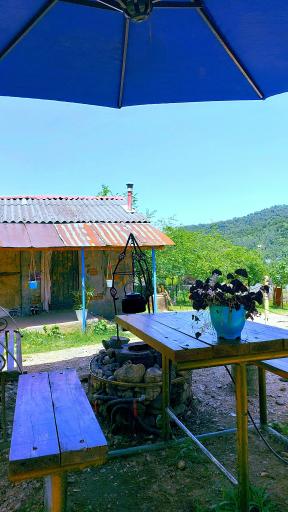 عکس کلبه جنگلی مجنون