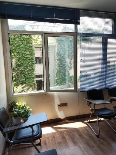 موسسه زبان شبیری - کالج زبان سروانتس