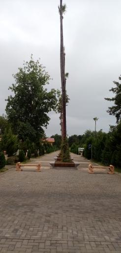 عکس مجتمع آموزشی رفاهی شهید رسولی