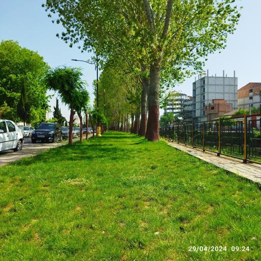 عکس پارک سیاهرود