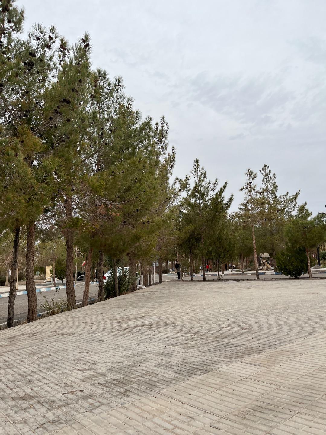 عکس دانشگاه آزاد اسلامی واحد رفسنجان