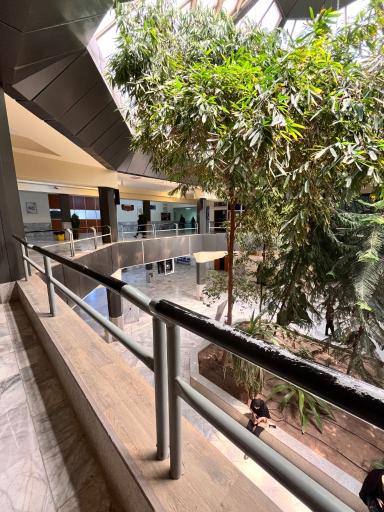 دانشگاه آزاد اسلامی واحد رفسنجان