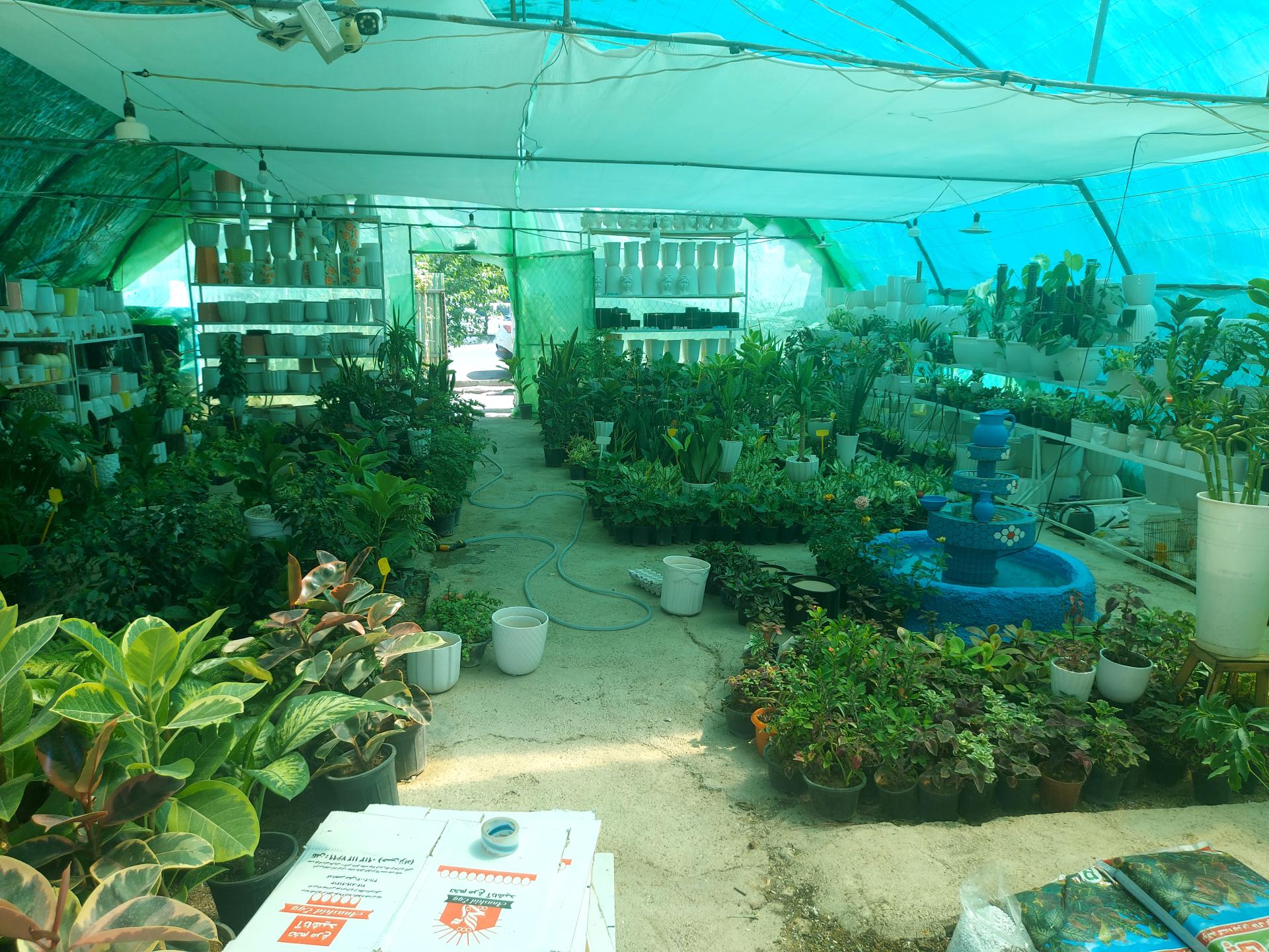 عکس نهالستان مجید