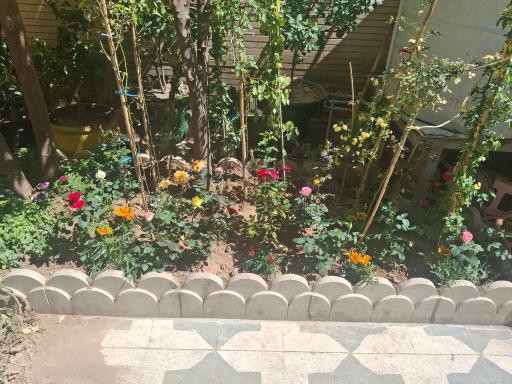 نهالستان مجید