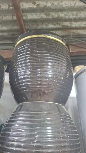 عکس نهالستان مجید