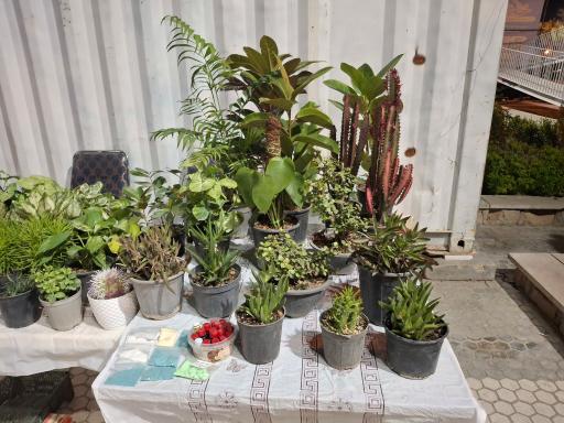 عکس نهالستان مجید