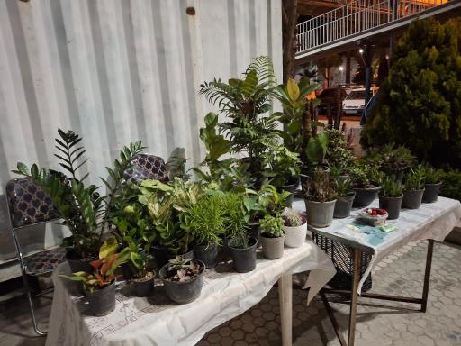 عکس نهالستان مجید