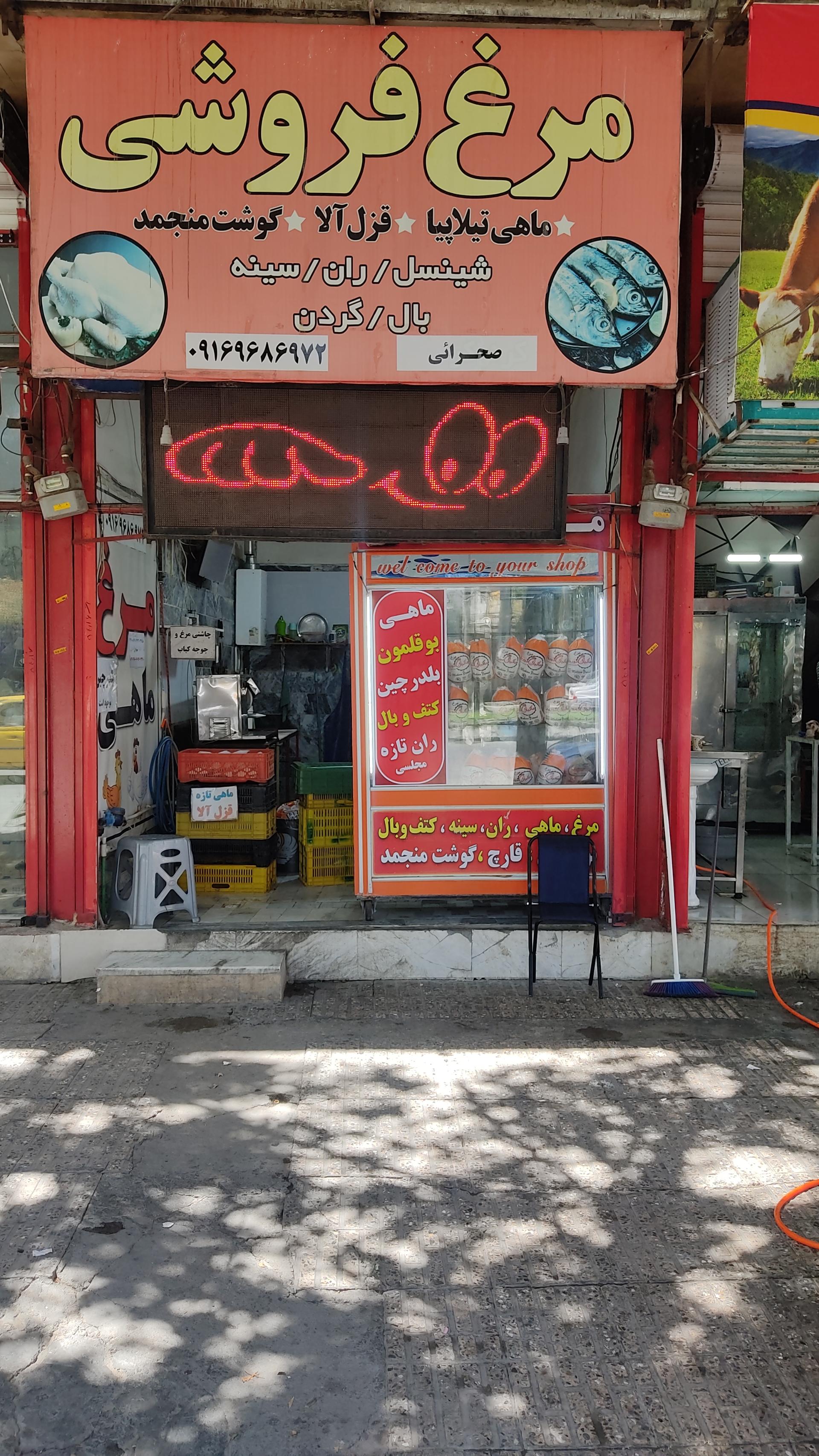 عکس مرغ و ماهی صحرائی 