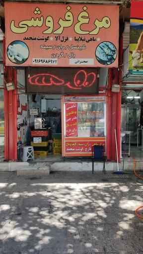 عکس مرغ و ماهی صحرائی 