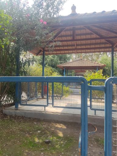 عکس پارک سیاهرود