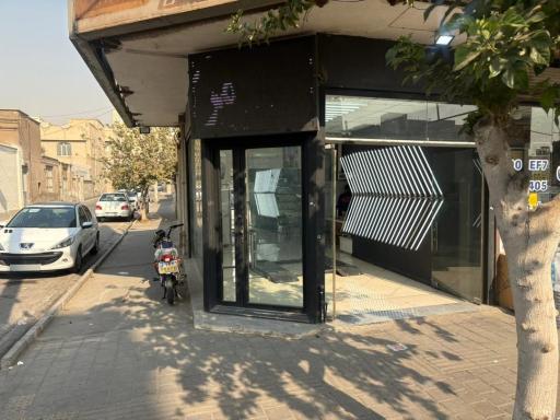 عکس تشخیص رنگ عبدی
