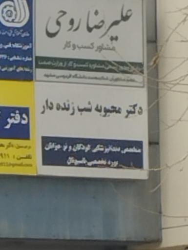 عکس دکتر محبوبه شب زنده دار