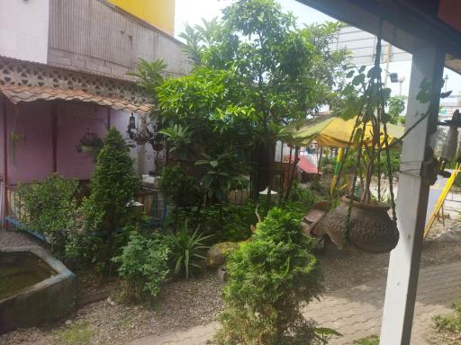 عکس سفره خانه سنتی نادری