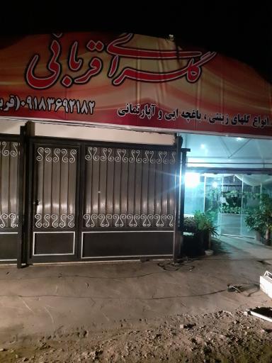 عکس گلسرای قربانی 