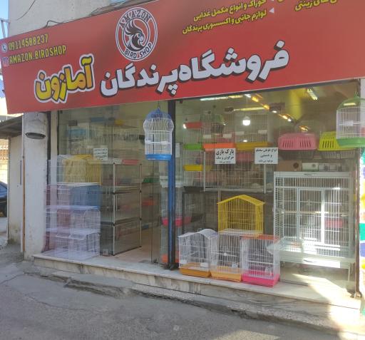 عکس فروشگاه پرندگان آمازون
