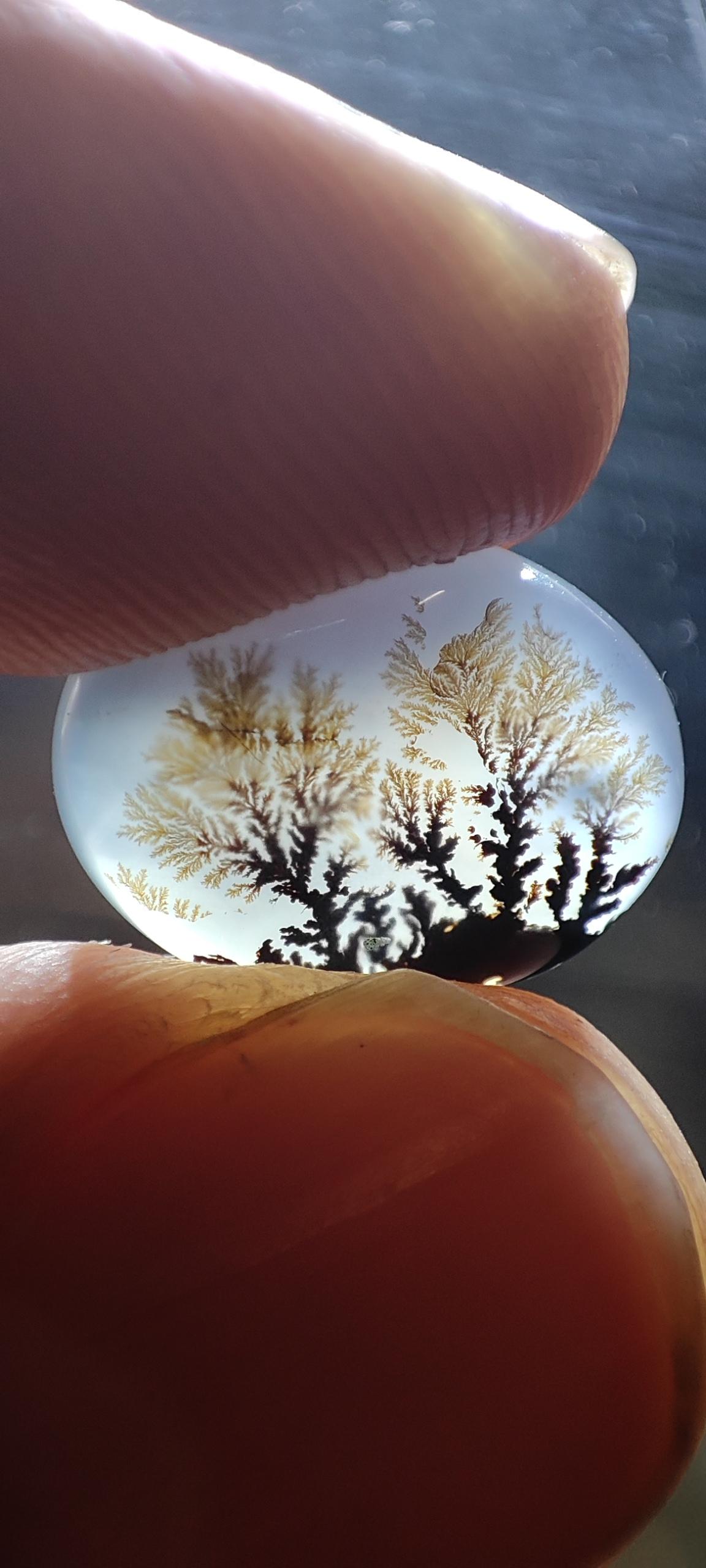 عکس فروشگاه عمرانی