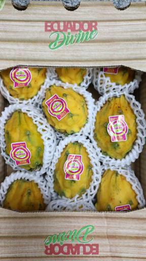 عکس غرفه 21 میدان مرکزی میوه و تره بار احد کشاورز