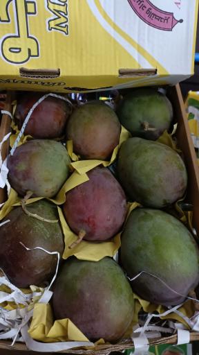 عکس غرفه 21 میدان مرکزی میوه و تره بار احد کشاورز