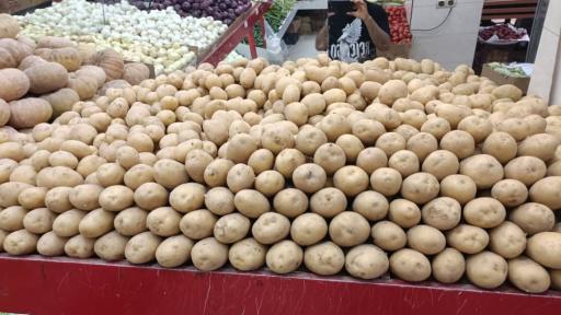 عکس غرفه 21 میدان مرکزی میوه و تره بار احد کشاورز