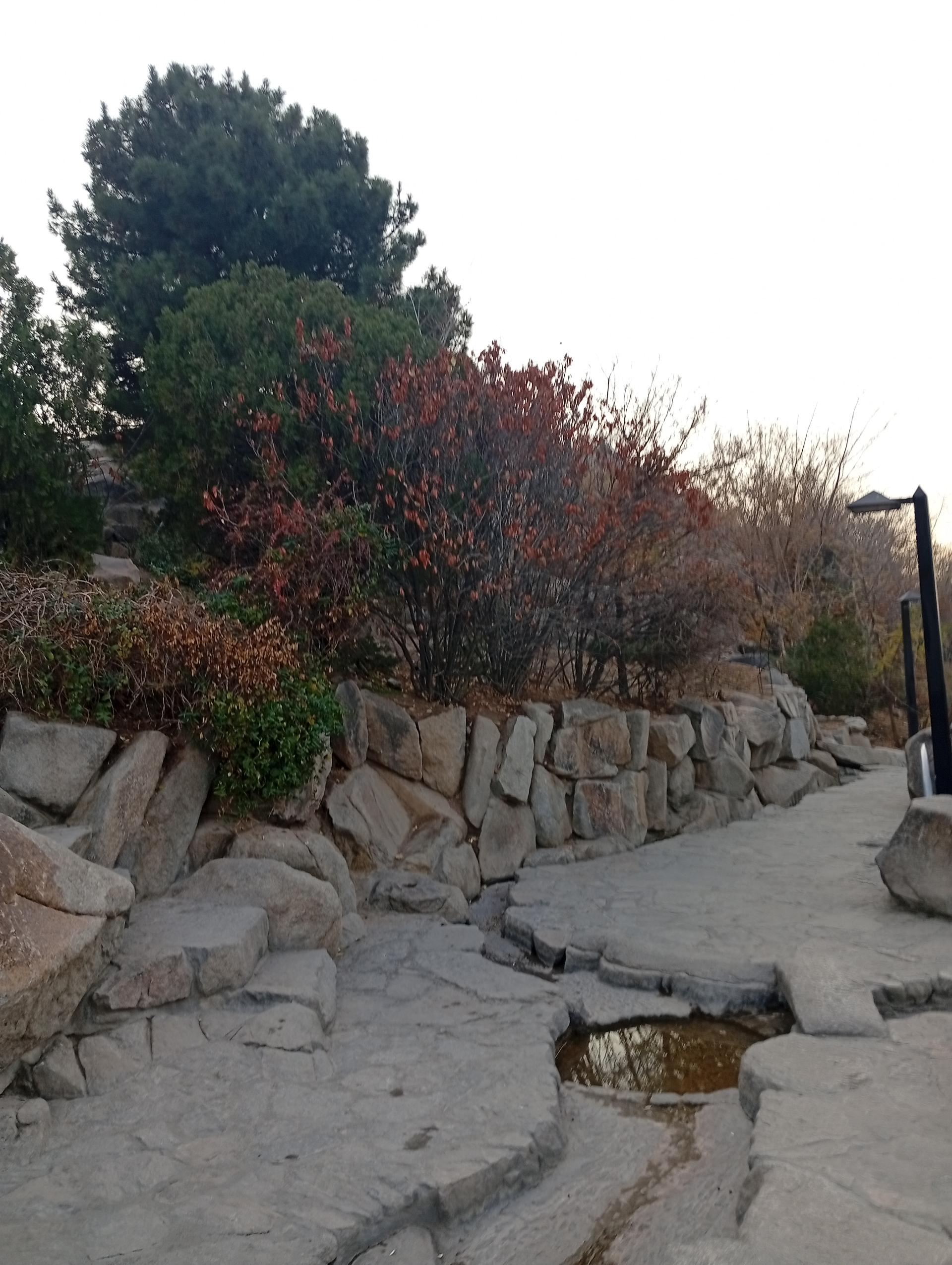 عکس بام کوهسنگی