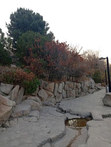 عکس بام کوهسنگی