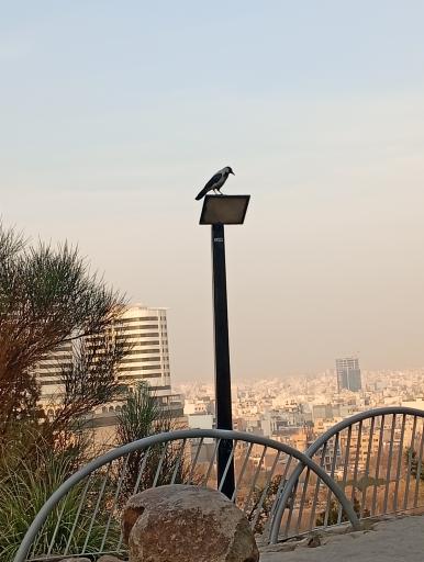 بام کوهسنگی