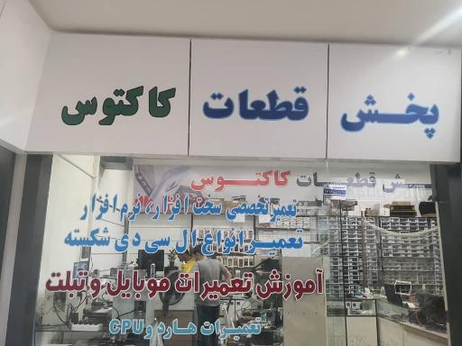 عکس موبایل کاکتوس