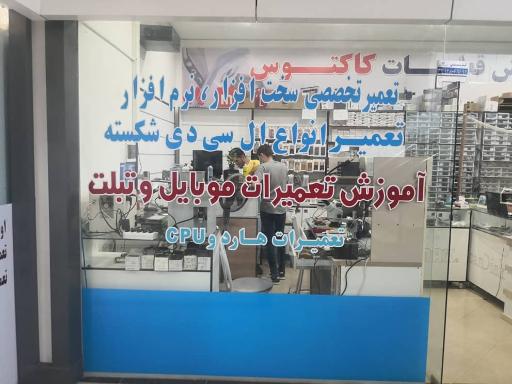 عکس موبایل کاکتوس