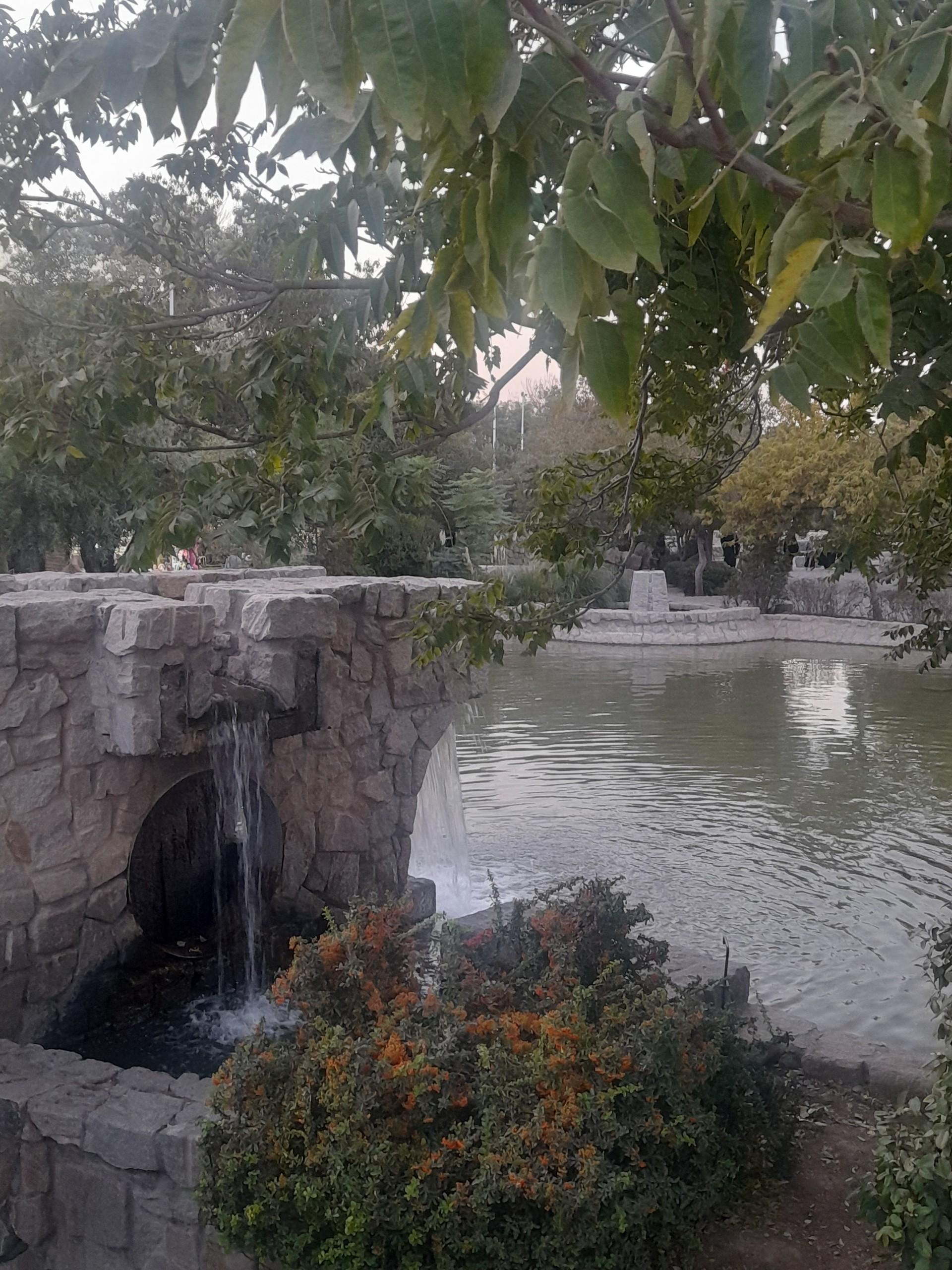 عکس بام کوهسنگی