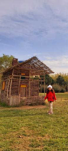 عکس بوستان جنگلی آزادگان