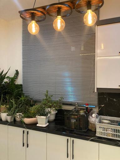 عکس گالری پرده و کاغذ دیواری یاس دوخت و خیاطی پرده