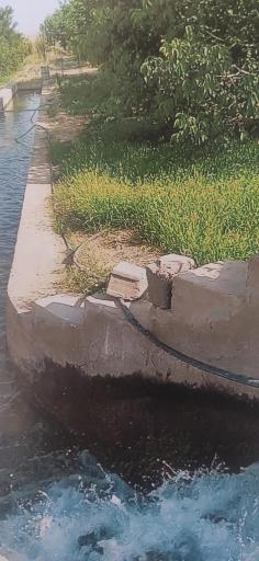 عکس پرورش ماهی مکوندی