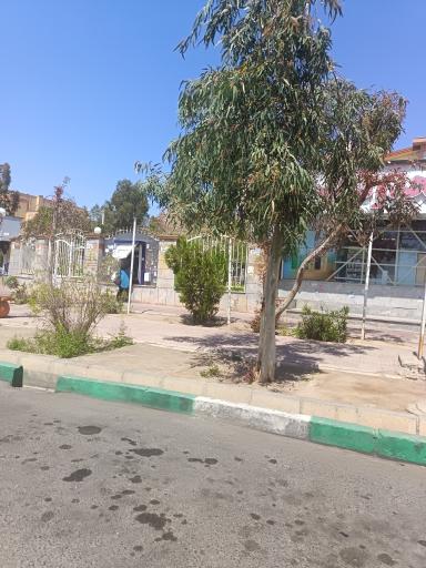 عکس خودپرداز