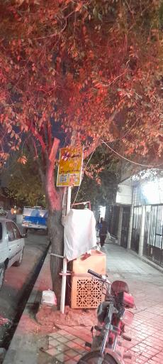 عکس  شهید نارنجیان 5